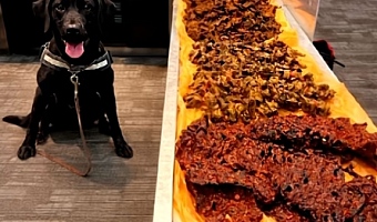 Sniffer Dog intercepts 40kg of undeclared meat from Nigerian traveller at Toronto Airport