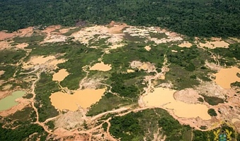 Galamsey is not just destroying cocoa farms; it is destroying Ghana’s place in the global economy