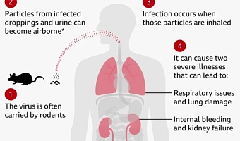 How worried should we be about hantavirus?