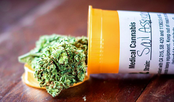 Green Light: Ghana to begin issuing medicinal cannabis licences as Parliament clears final hurdle