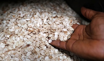 Egusi (melon) seeds are displayed at a market in Lagos Nigeria, August 12, 2025. REUTERS/Sodiq Adelakun