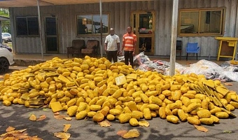 The suspects with the exhbit