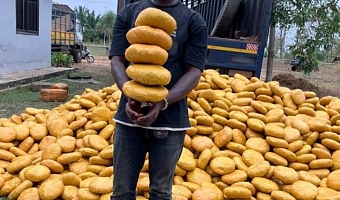 Police seize 4,000 parcels of suspected narcotics in trailer at Dambai