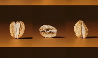 One nutritional superstar really sets them apart