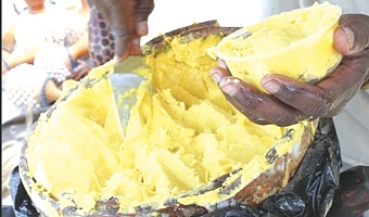 Nigeria bans export of shea nuts used in beauty creams for six months