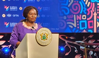 Vice President Professor - Jane Naana Opoku-Agyemang