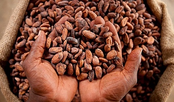 Dr Isaac Yaw Opoku — Ranking Member, Committee on Food, Agriculture and Cocoa Affairs