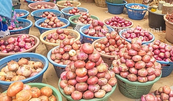 Ghana, Nigeria reach breakthrough deal to end onion trade standoff