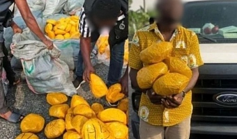 GHS vehicle intercepted with suspected drugs as Volta Health Directorate driver arrested in Ho