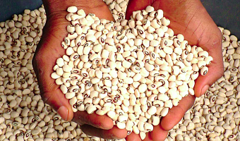 FDA warns against using ‘cement’ to preserve beans