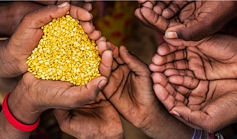 Hunger gap widened in 2024: 13.3 million Ghanaians in food crisis