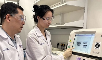 These scientists looked at gene expression related to DMTF1.