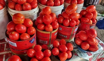 Tomato traders complete first trip to Burkina Faso after terror attack