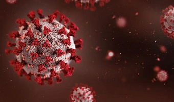 According to WHO, there have been 600 suspected cases of Ebola so far and 139 suspected deaths