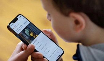 Austria's move follows similar steps in other European countries, including France and Spain (file pic)