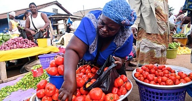 'No justification to exist' — FABAG slams Agriculture Ministry over tomato shortage