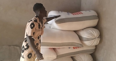 Sacks of maize harvested