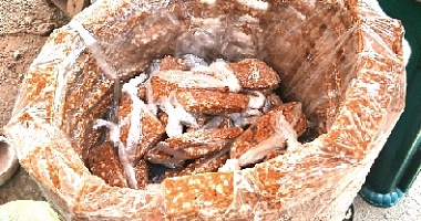 Some ­vendors earn GH¢30 for selling 100 pieces of Nkate cake