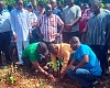 Dr Hanson Mensah-Akutteh (right), Chief Manager, Ashanti Production, GWL, together with Zachariah Mba (middle), DCE, Atwima Nwabiagya North, and Abraham Essel (left), District Manager, Forest Services Division, Nkawie, jointly planting a tree within a degraded portion of the Barekese dam forest cover