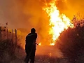President Abdelmadjid Tebboune said he was not ruling out foul play after 100 wildfires were recorded