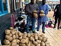 The suspects