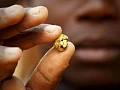 Gold now dominates Ghana's exports, GSS warns of concentration risk