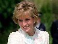 Buckingham Palace has strongly pushed back against claims in a book by the late princess's brother