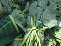 Cocoyam Leaves or Kontomire beats spinach and broccoli on nutritional value