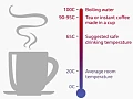 Very hot drinks may damage the food pipe and increase cancer risk