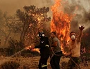 At least 12 dead, 54 injured as wildfires ravage northeastern Algeria