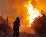 President Abdelmadjid Tebboune said he was not ruling out foul play after 100 wildfires were recorded