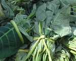 Cocoyam Leaves or Kontomire beats spinach and broccoli on nutritional value