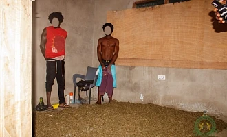 Three arrested as NACOC raids cannabis production hub in Volta