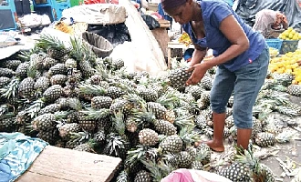 A customer has the opportunity to select from a variety of pineapples at the CMB Market