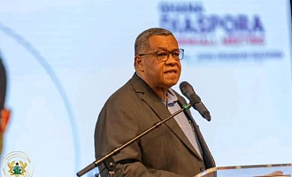 The Presidential Adviser on the 24-Hour Economy and Accelerated Export Development, Goosie Tanoh,