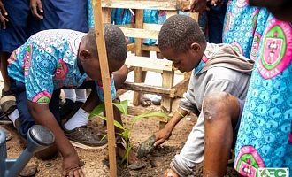 Some pupils of Achimota Anglican Basic School planting trees seedlings during the sensitisation campaign by the Forestry Commission.
