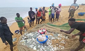 Fishermen on Sierra Leone's Sherbo Island say their catches have fallen