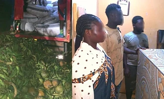 11.8 tonnes of cocoa hidden beneath load of plantain intercepted, four arrested