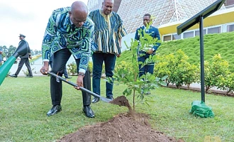 President Brice Clotaire Oligui Nguema planting  a tree at the Jubilee House while President John Mahama looks on