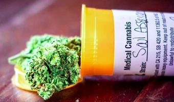 NACOC grants first licences for medicinal cannabis cultivation to two companies