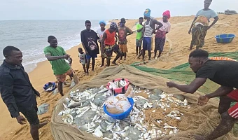 Fishermen on Sierra Leone's Sherbo Island say their catches have fallen