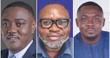 Musah Abdallah —   Head of Corporate and Investment Banking, Stanbic Bank Ghana, Dr Nana Kwesi Amoako —  Sales Director, Business to Business West Africa, Kasapreko PLC, Dr Paa Kwesi Eduaful Abaidoo — Sustainability Manager, Miniplast LTD, 