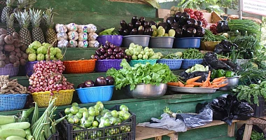 Toxic metals from galamsey found in vegetables across mining districts - Study