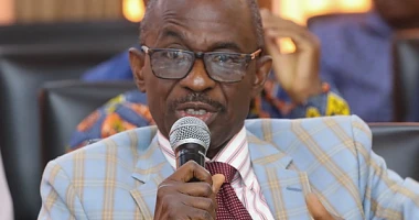 Johnson Asiedu Nketia -  NDC National Chairman 